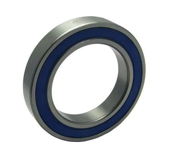 S6013-2RS BALINERA